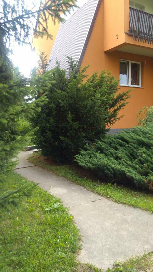 Apartament U Janusza Nowy Targ Kültér fotó